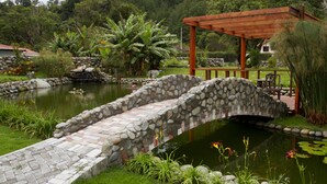 Un pont de pierre enjambe un étang parsemé de nénuphars, le tout étant entouré d’une végétation luxuriante et agrémenté d’une pergola en bois.