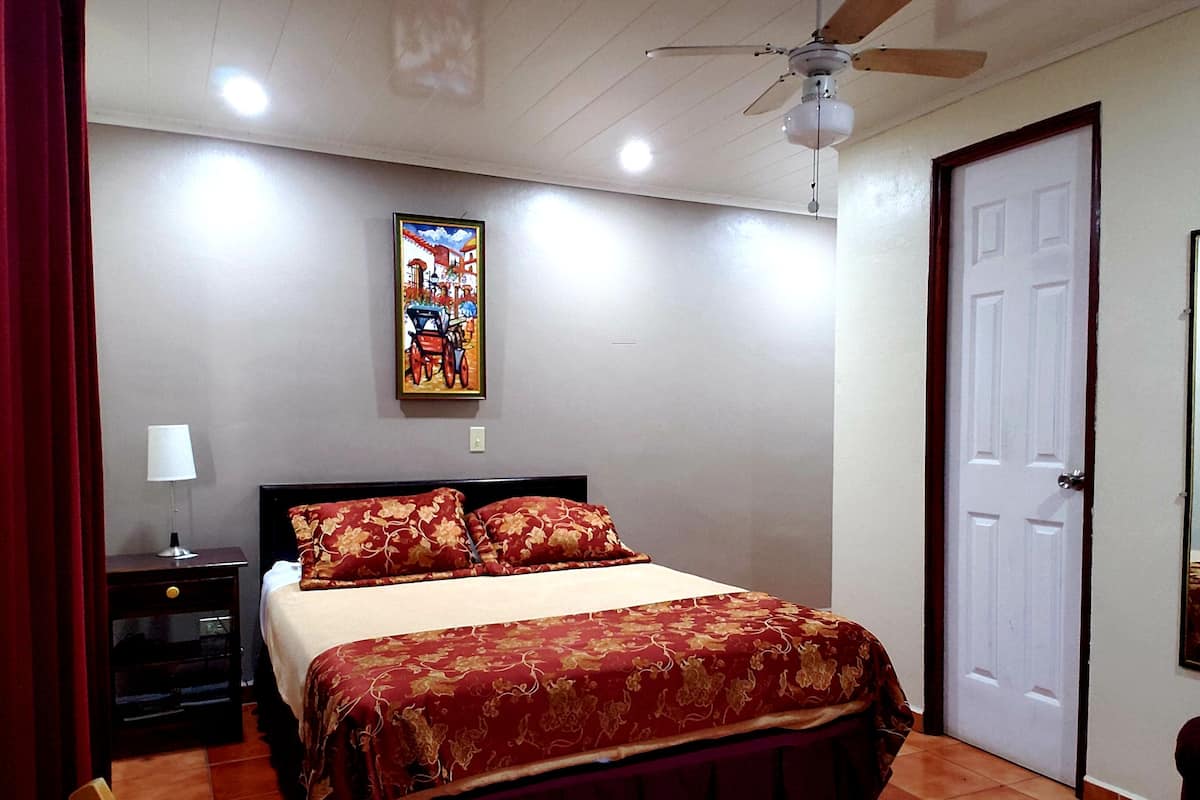Une chambre à coucher comprenant un lit, une table de chevet, un ventilateur de plafond, une porte et un tableau accroché au mur.