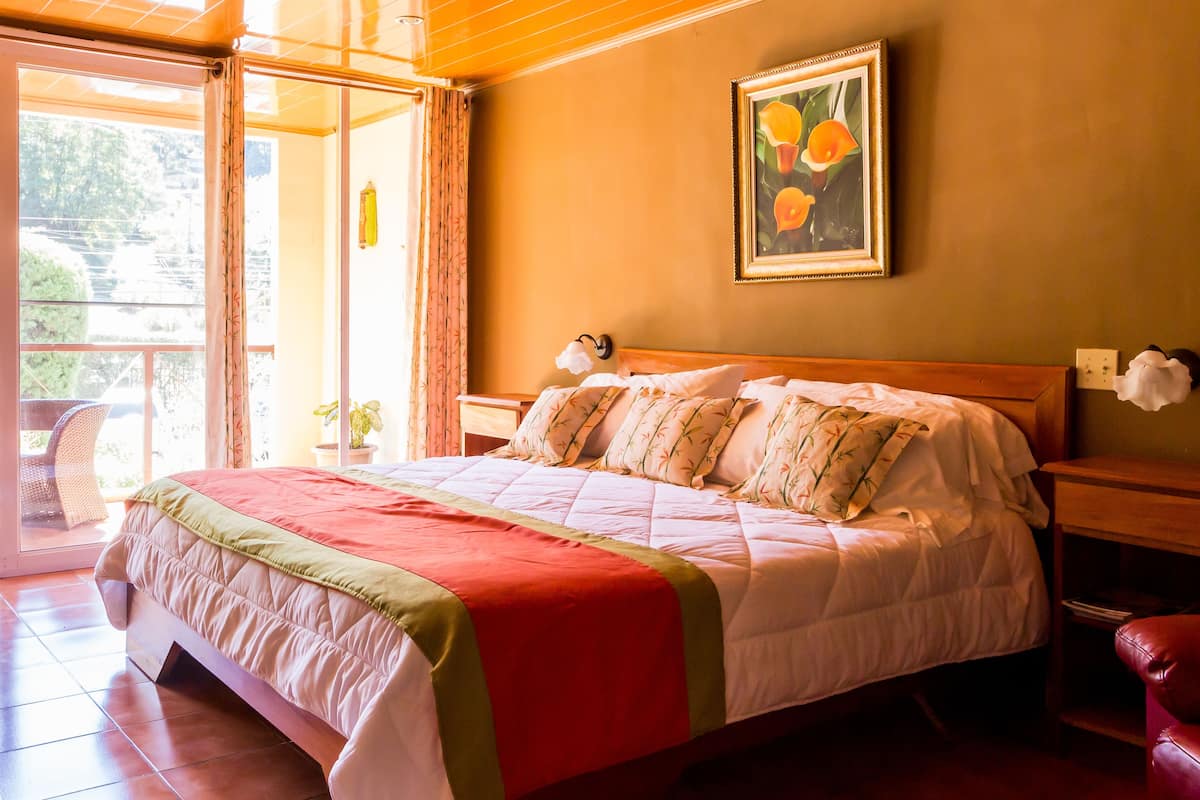 Studio Exclusif, 1 très grand lit, salle de bains privée, vue jardin