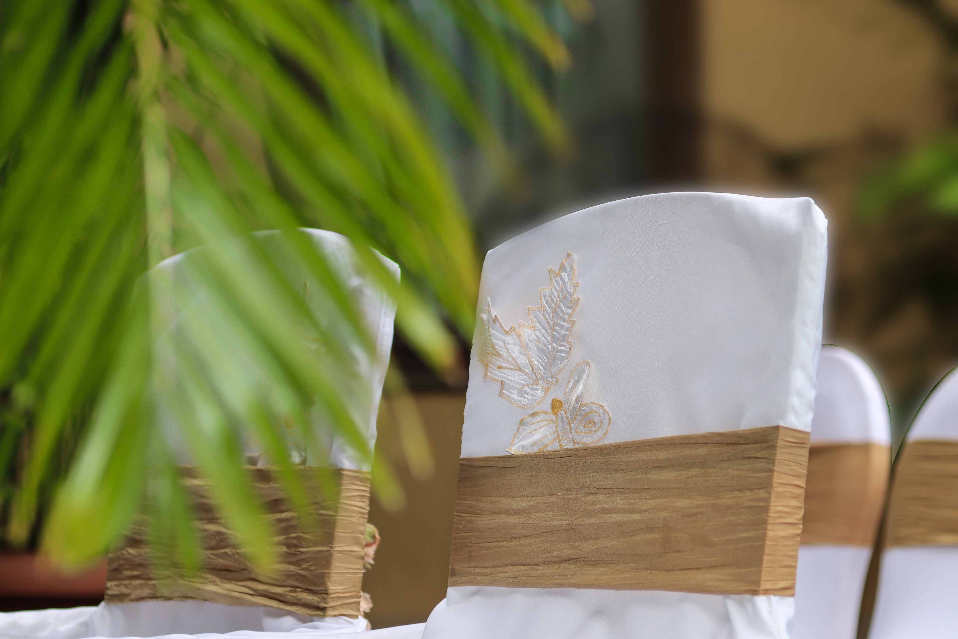 Foto - Hotel Memling