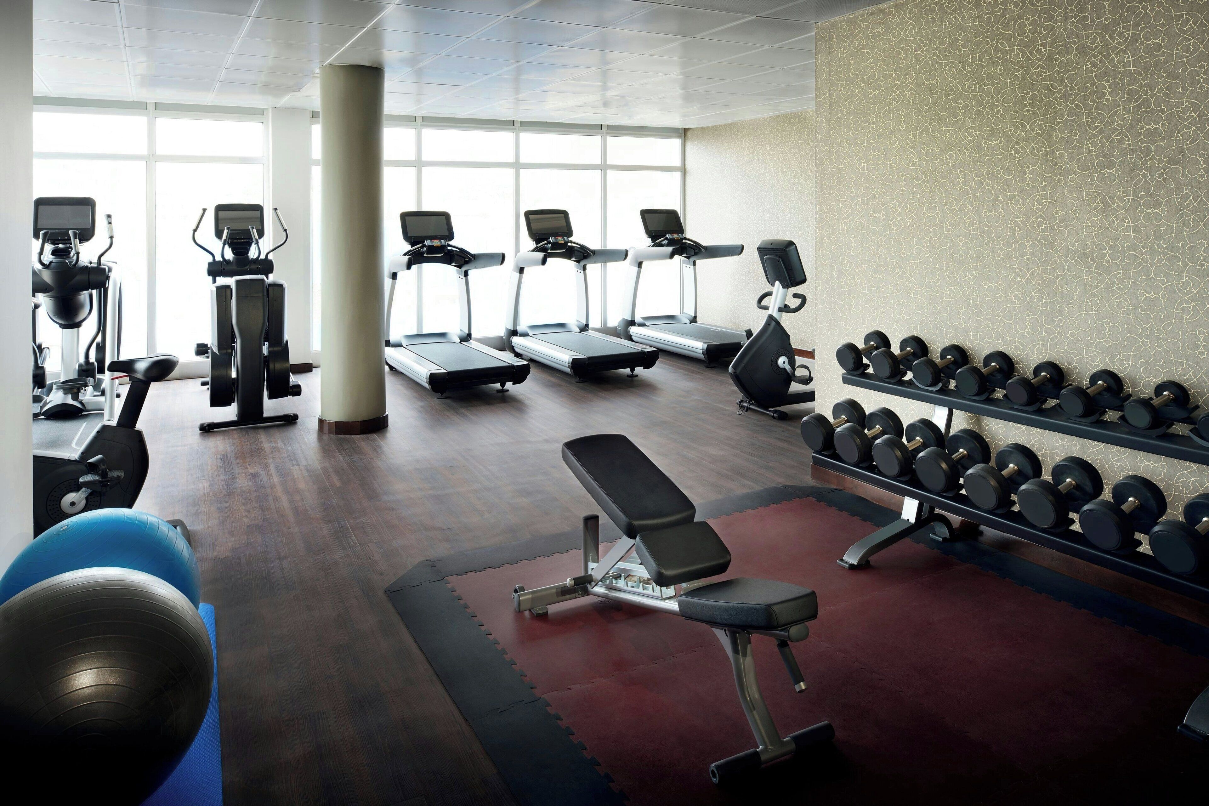Un gimnasio con cintas de correr, una banca, mancuernas y pelotas de ejercicio.