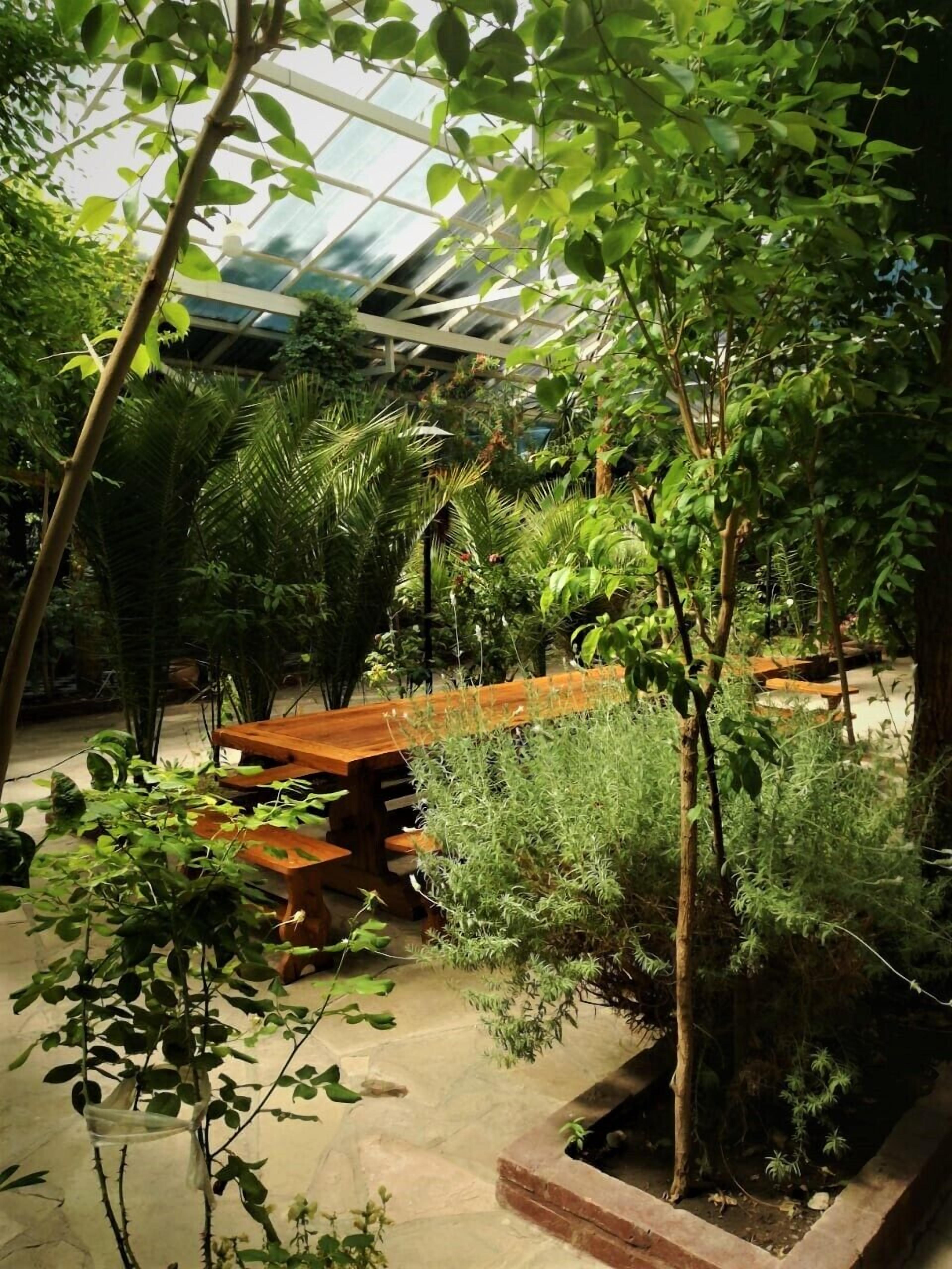 Family Bungalow | Terrace/patio