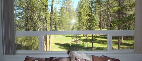 Hus, 3 soverom | Utsikt fra rommet