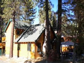 A log cabin with a sloped roof, surrounded by tall trees.