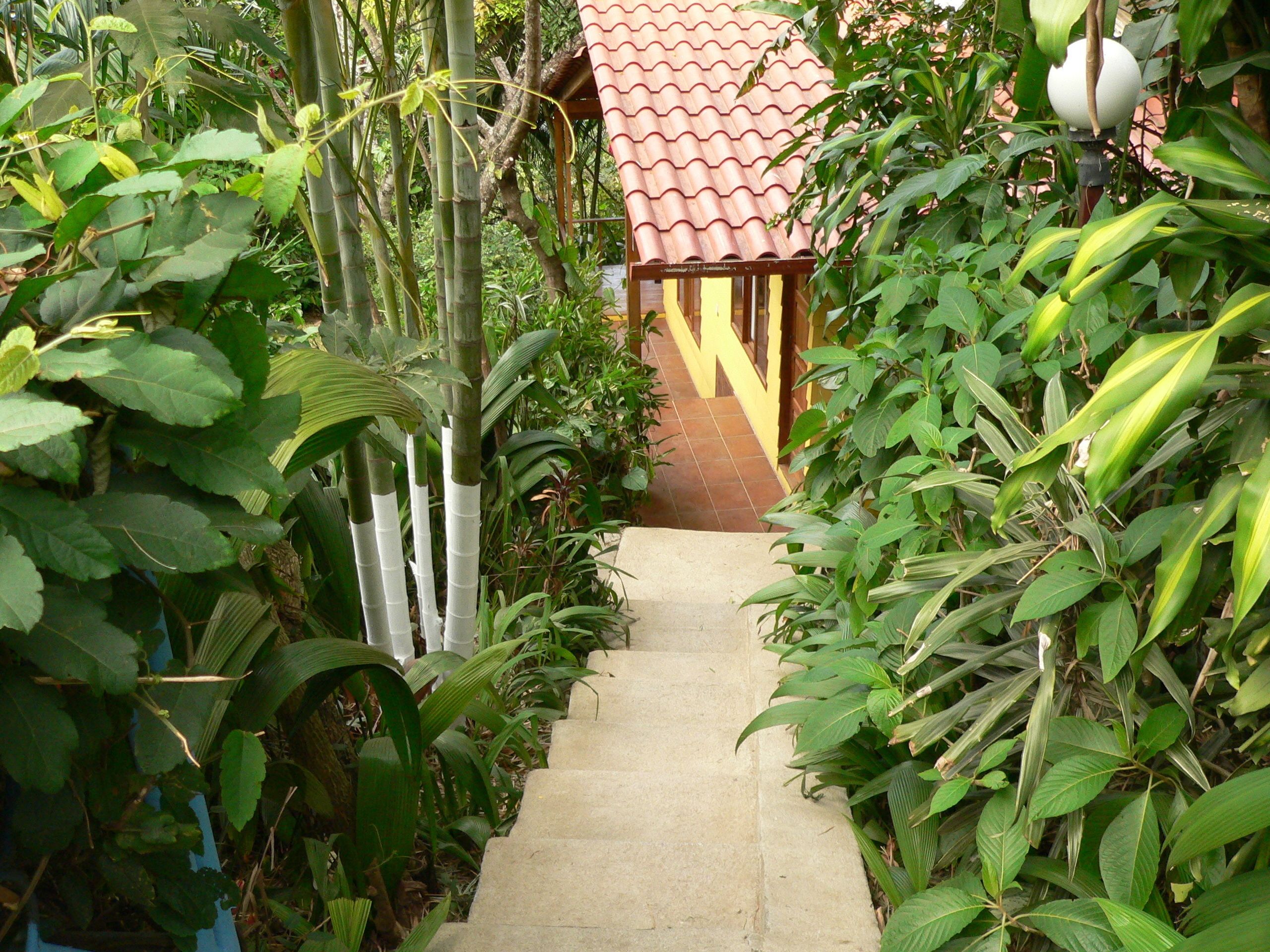 A pathway leading to a building with a tiled roof.