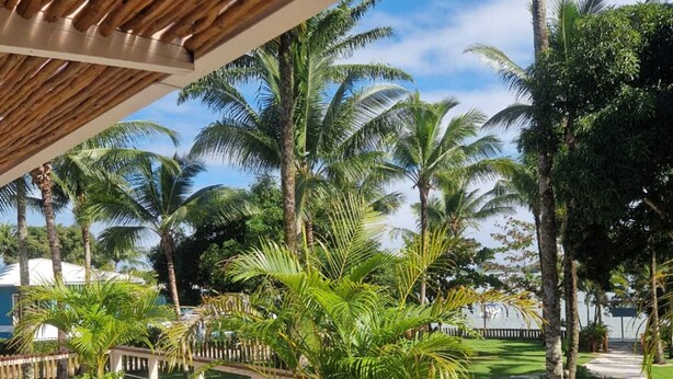 Una terraza de madera con sillones de descanso y plantas en macetas, con vistas a un césped bien cuidado y palmeras.