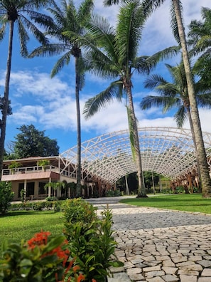 Courtyard view