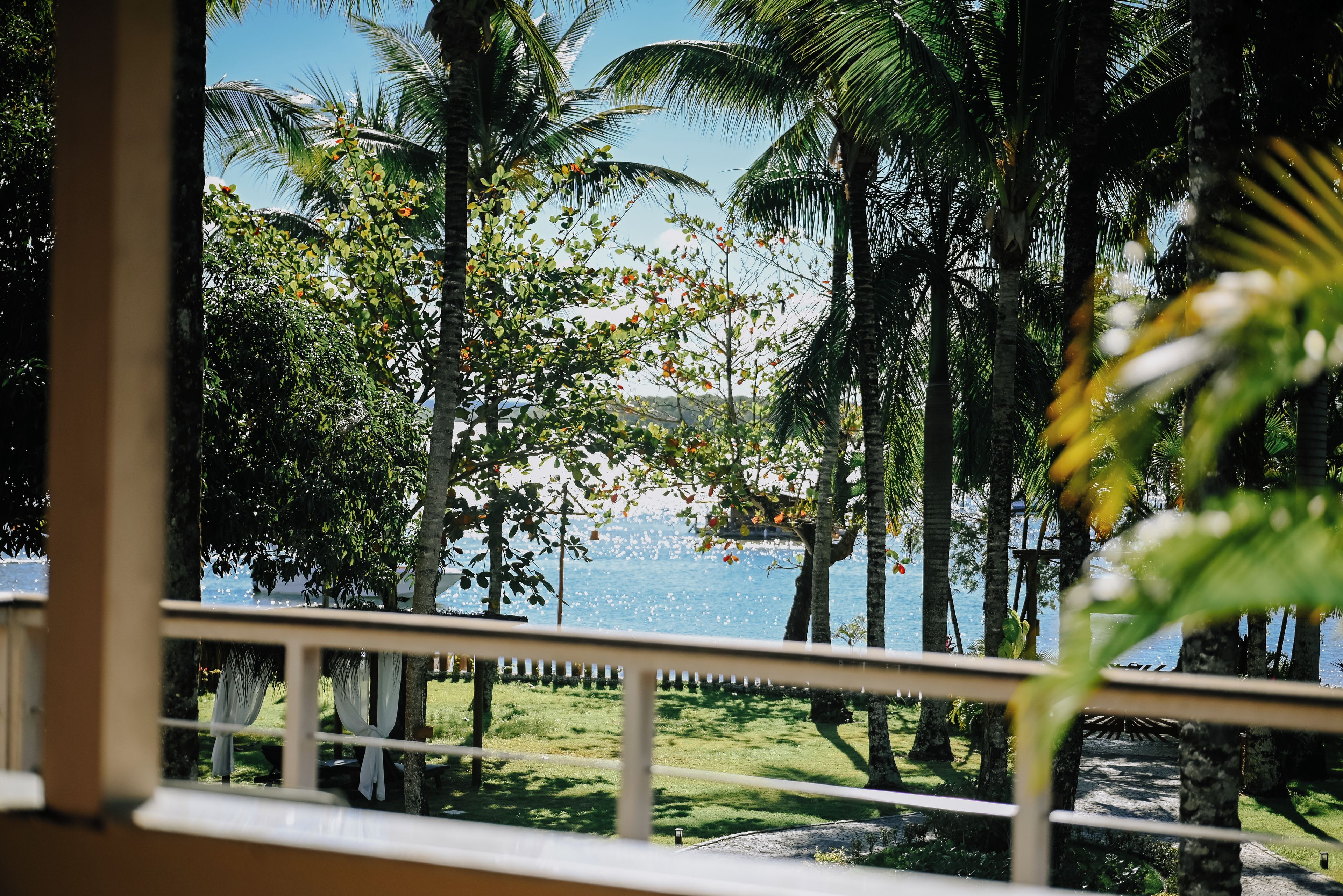 Vista pela janela de uma paisagem tropical com palmeiras e um corpo de água.