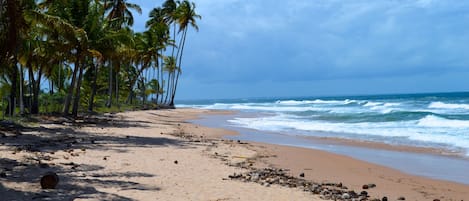 Playa en los alrededores