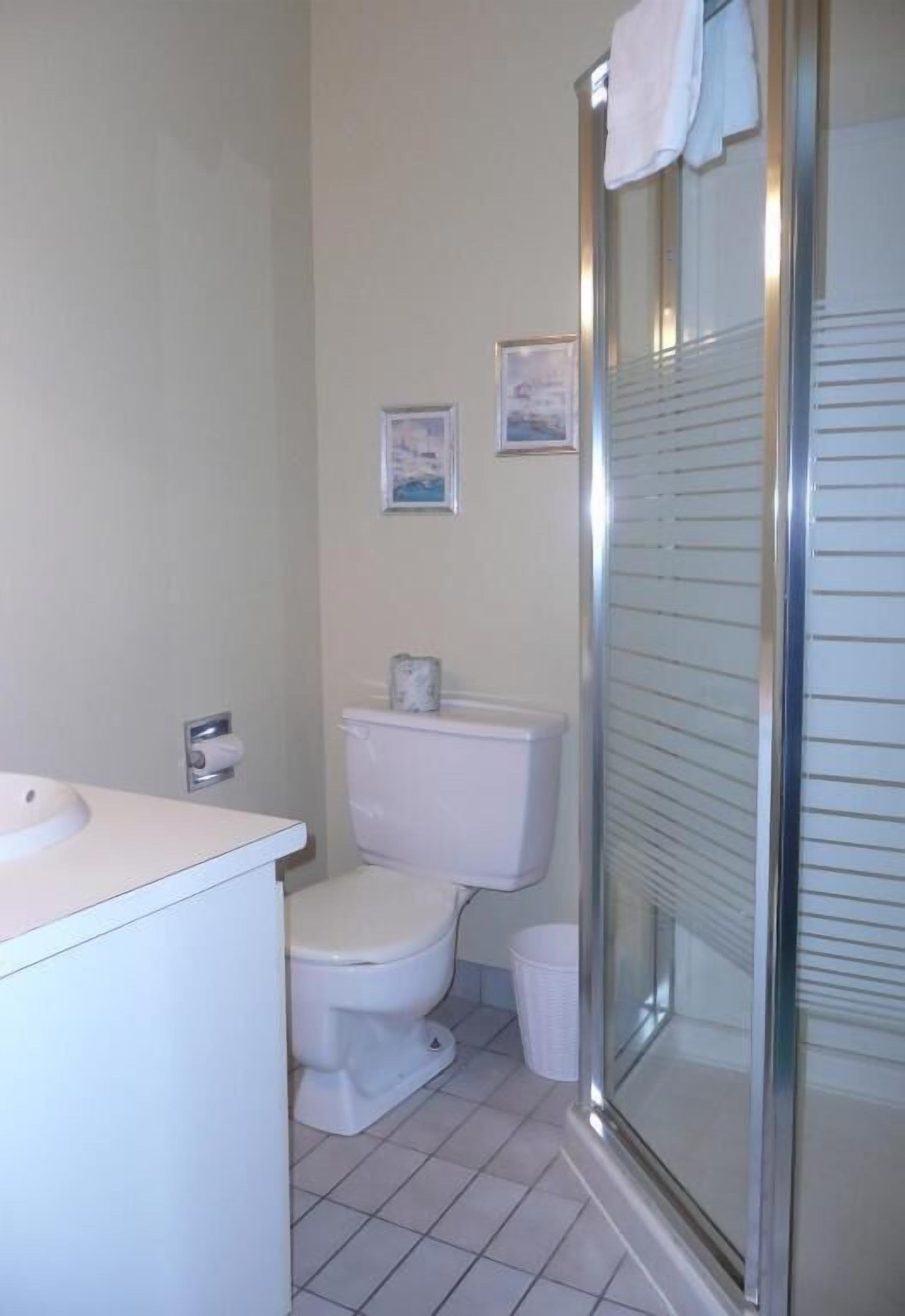 Een badkamer met toilet, wastafel en douchecabine.