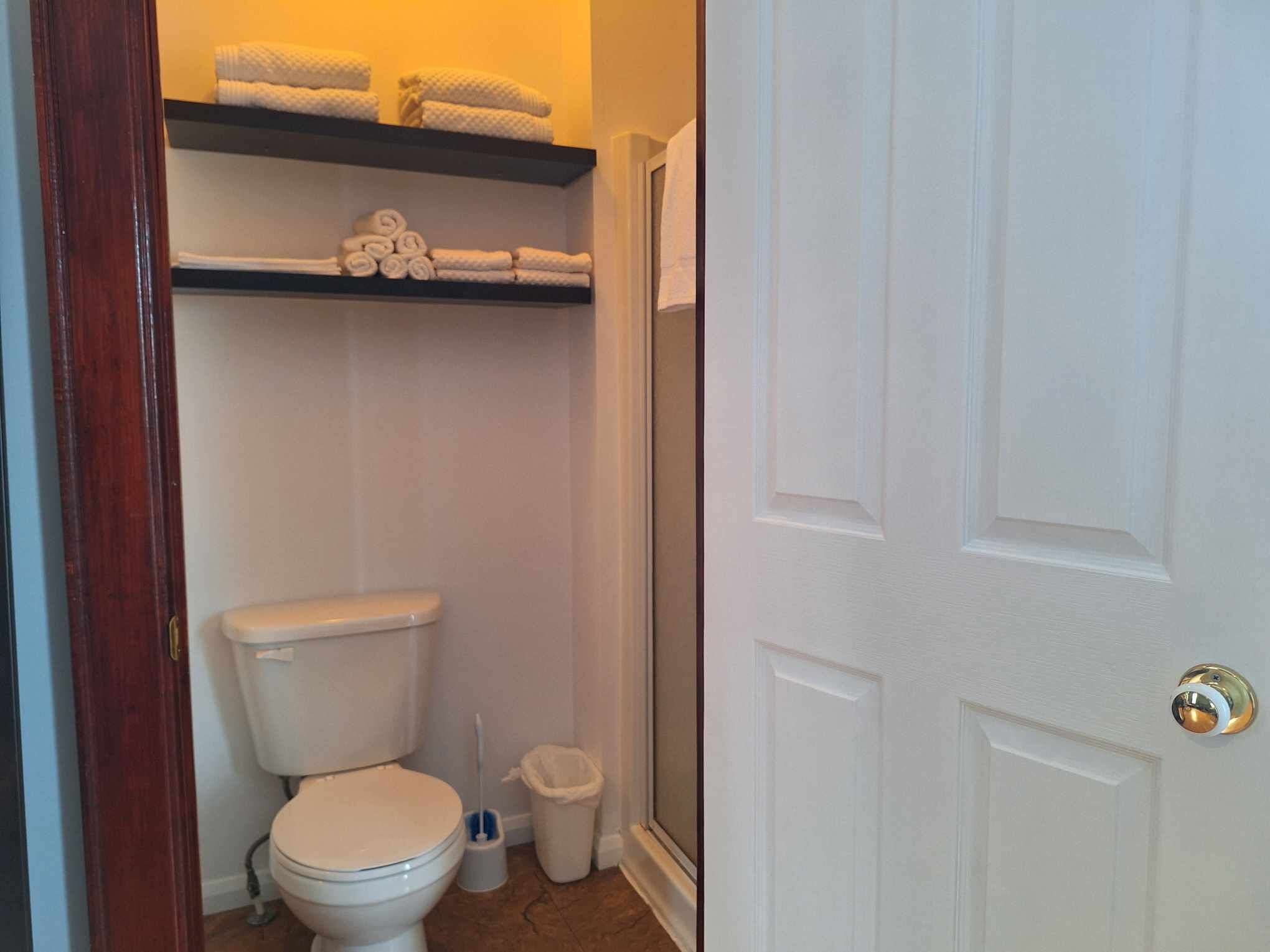 Un baño con inodoro, un cubo de basura y ducha.