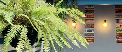 Área externa para banquete