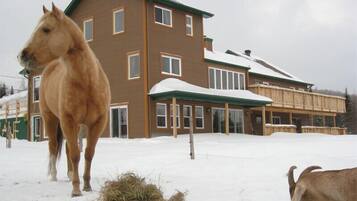 Fassade der Unterkunft