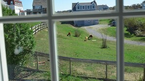 A view through a window of a grassy area with a fence, a barn, and residential buildings in the background. - The Inn at Spring House (Block Island)