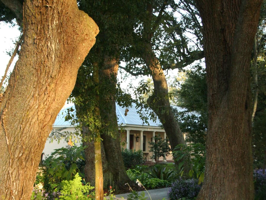 Suite, 1 queensize-seng med sovesofa | Hageutsikt