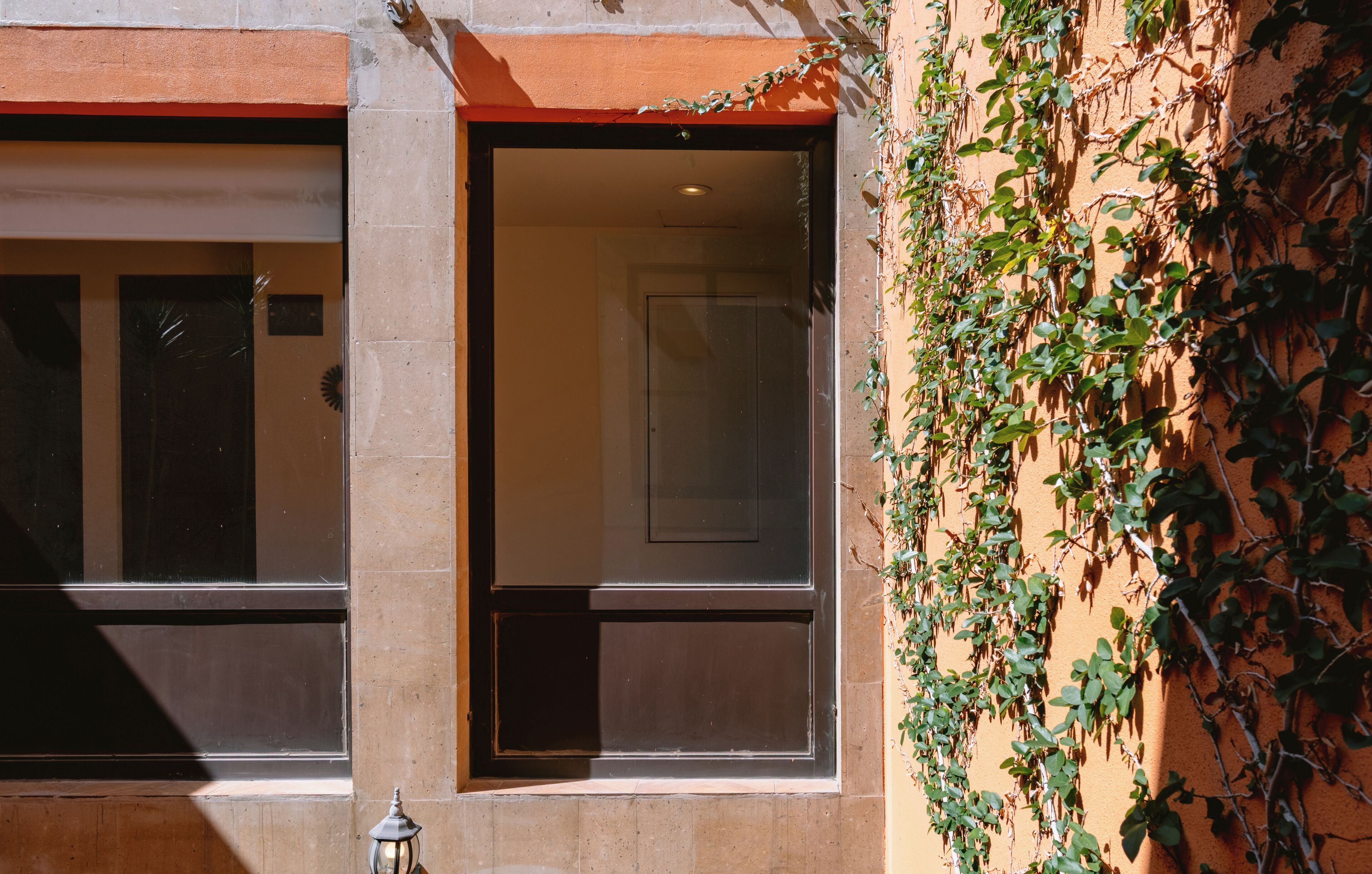 Fachada de edificio con ventanas amplias y una pared cubierta de plantas trepadoras.