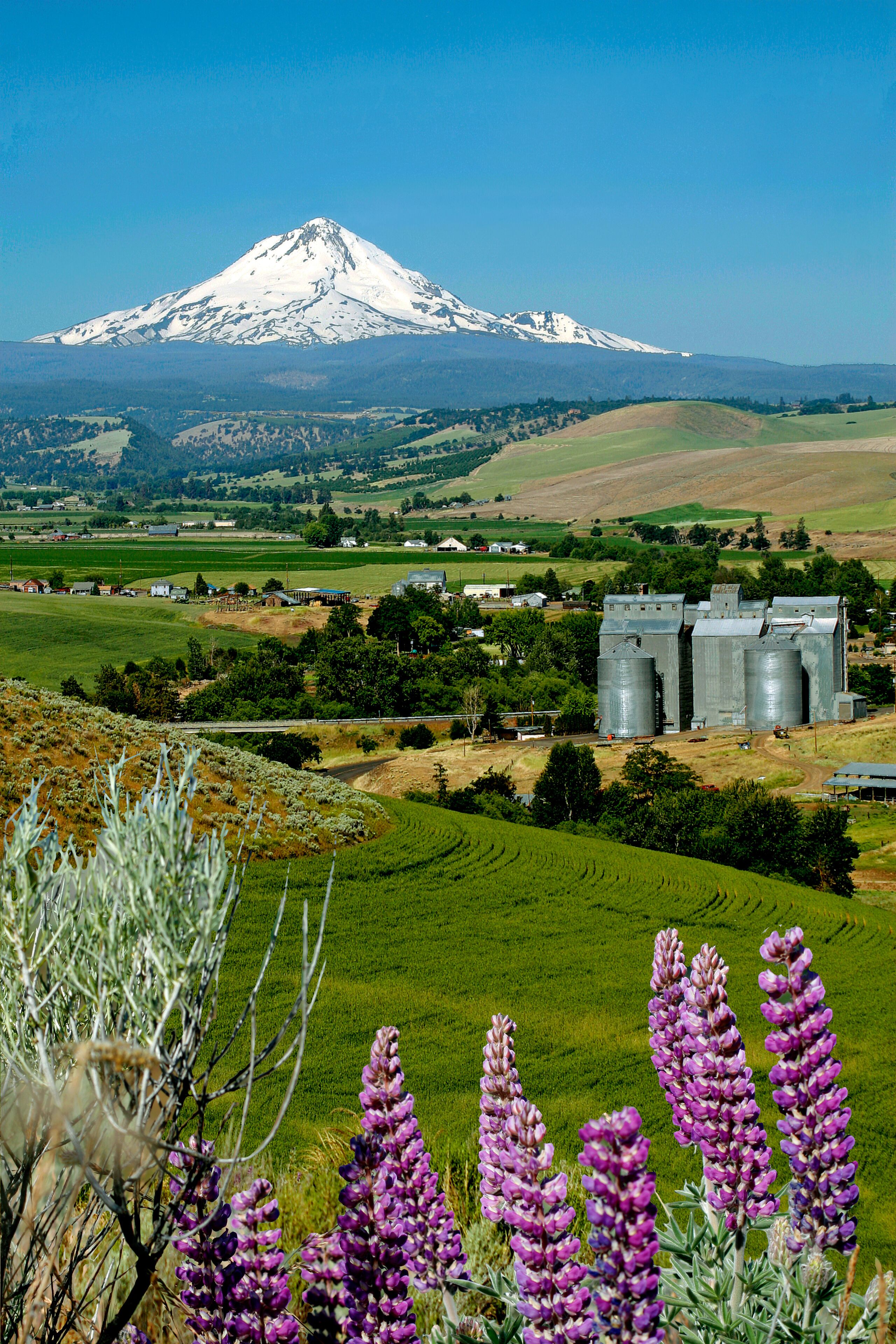 A rural landscape with a snow-capped mountain, agricultural fields, and grain silos.