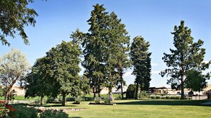 Ein gepflegter Park mit verschiedenen Bäumen und einer Rasenfläche.