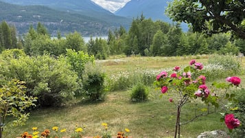 Romantic Cottage, 1 Queen Bed, Fireplace | Terrace/patio