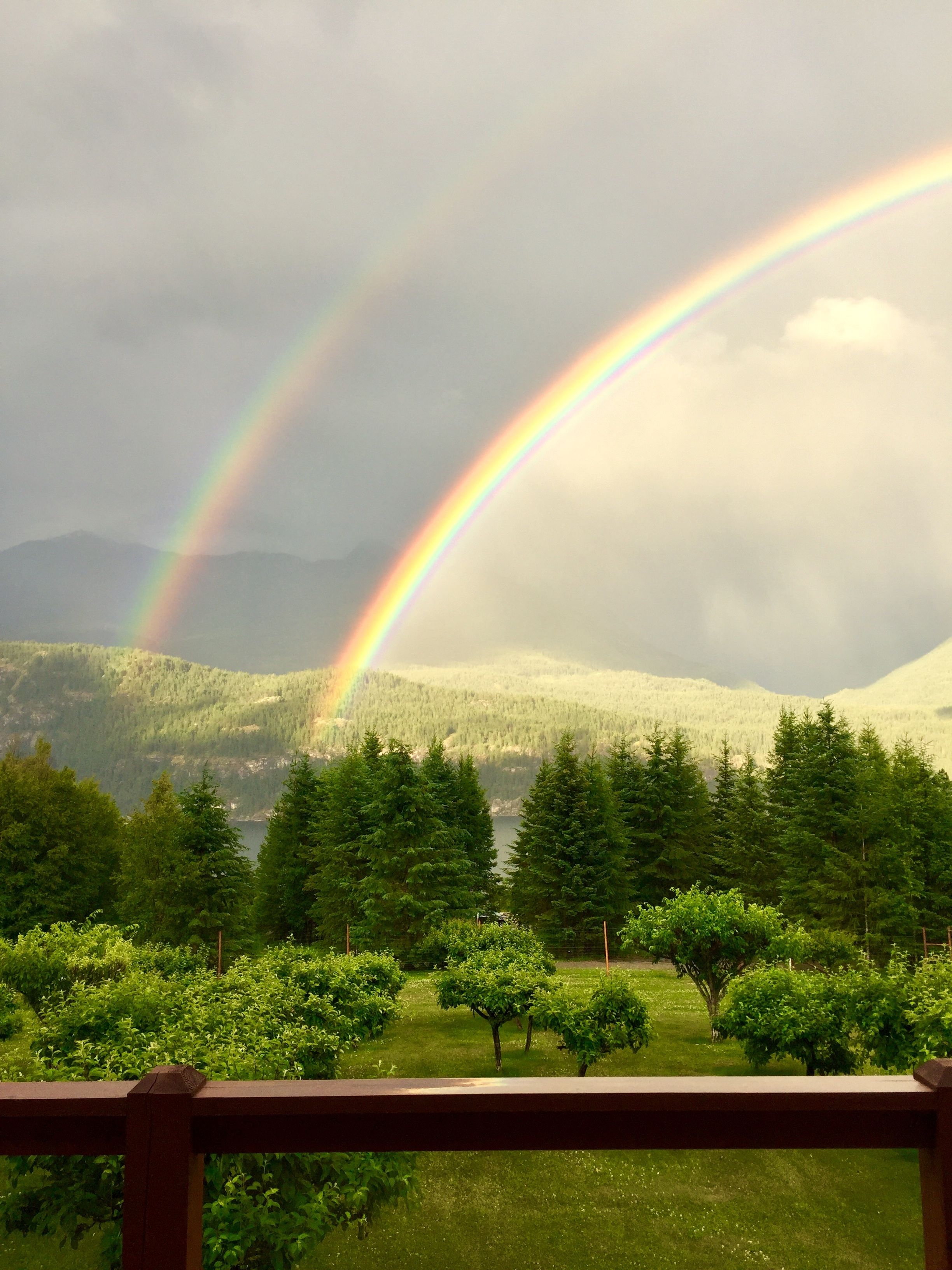 A landscape with a rainbow over a forested area and mountains in the background.