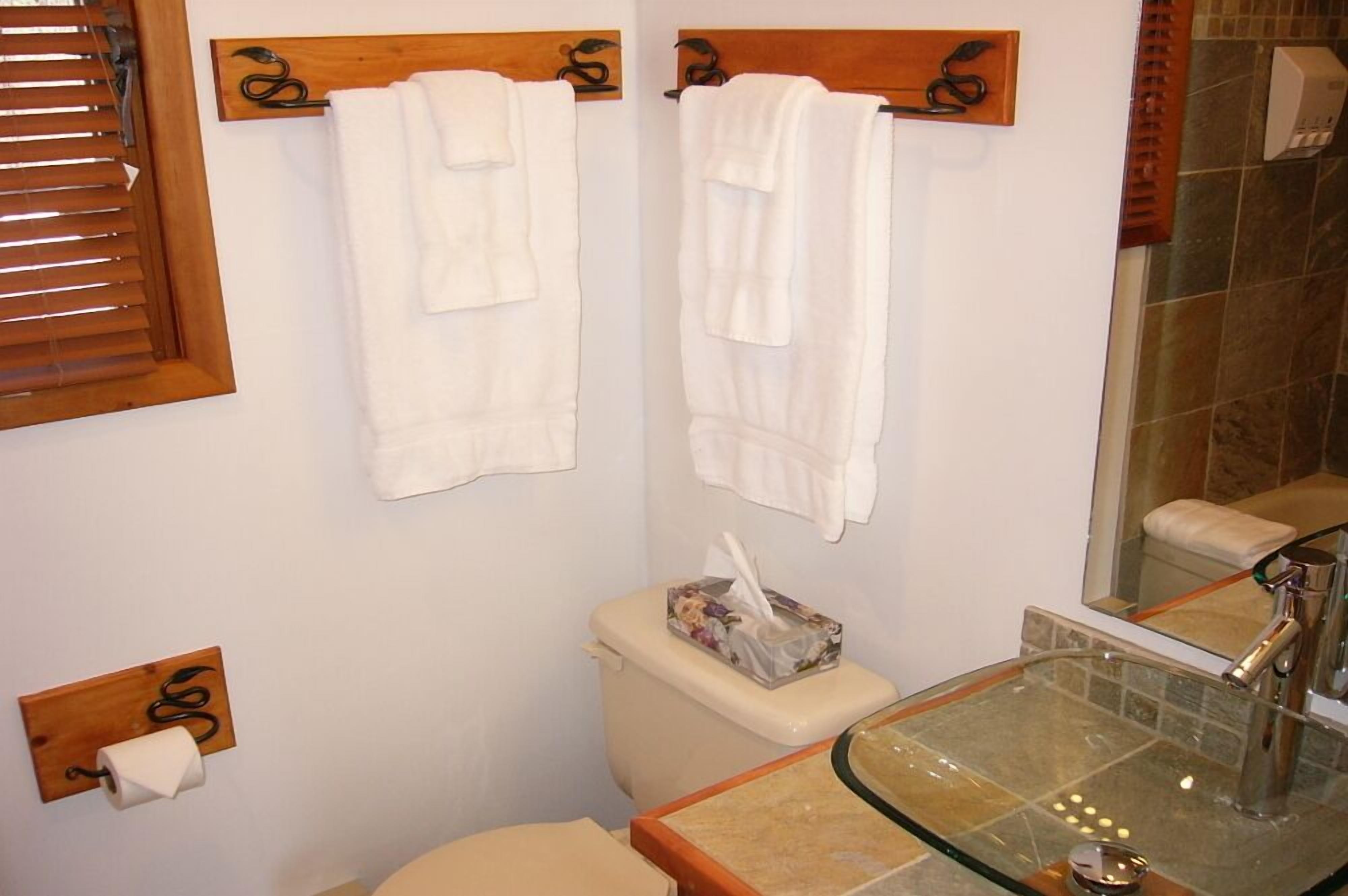 A bathroom with two white towels hanging on wooden towel racks, a glass sink with a modern faucet, and a toilet with a tissue box.