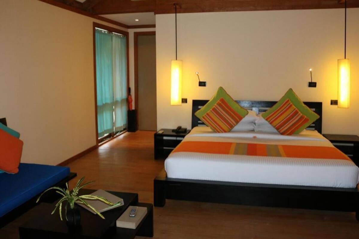 A hotel room with a bed, bedside tables, a sofa, and a potted plant.