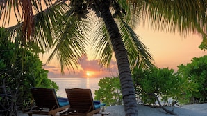 Una playa con dos sillones de madera y una palmera.