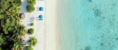 An aerial view of a beach with palm trees, clear turquoise water, and a wooden deck with lounge chairs and umbrellas.