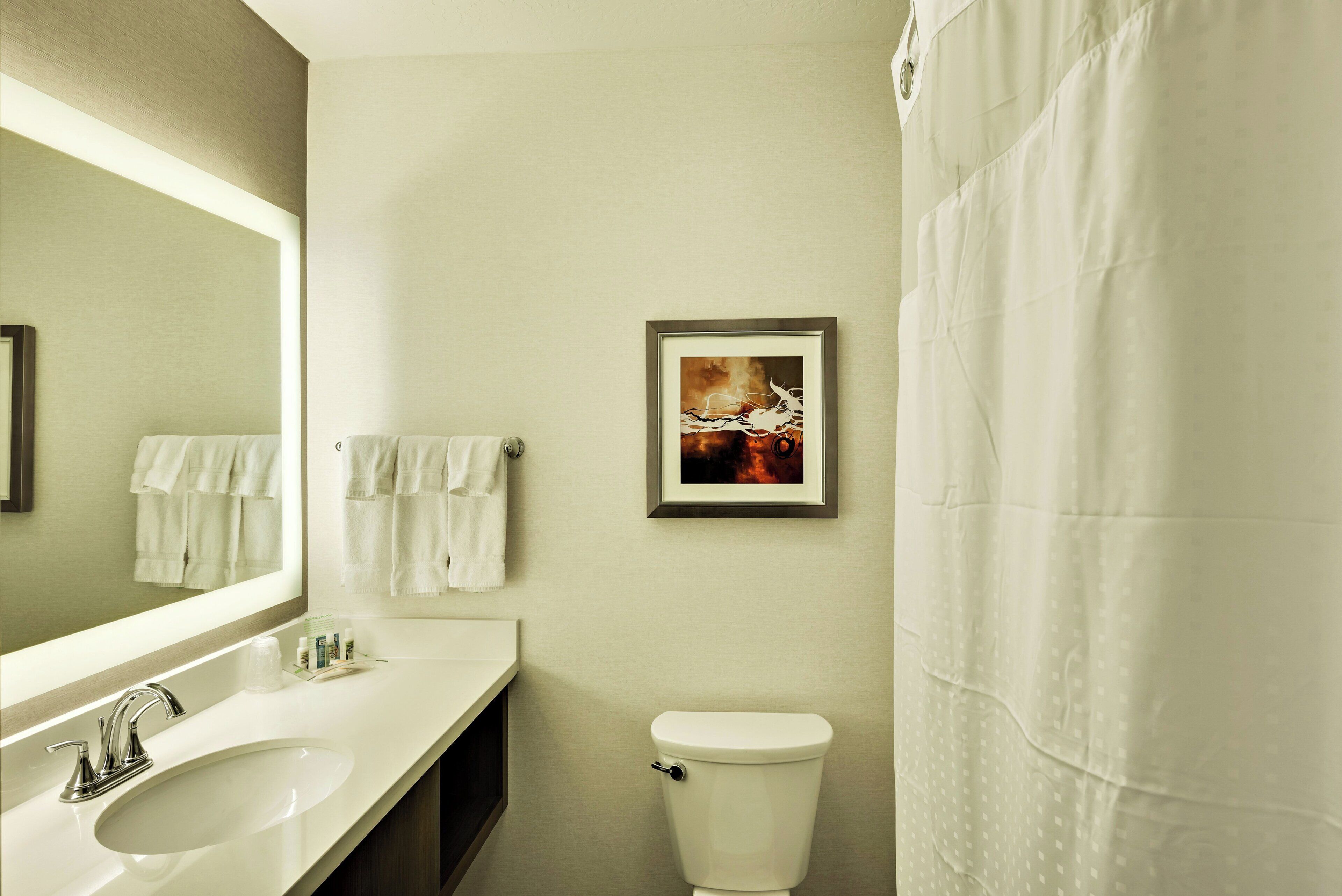 A bathroom with a sink, mirror, toilet, and a framed picture on the wall.