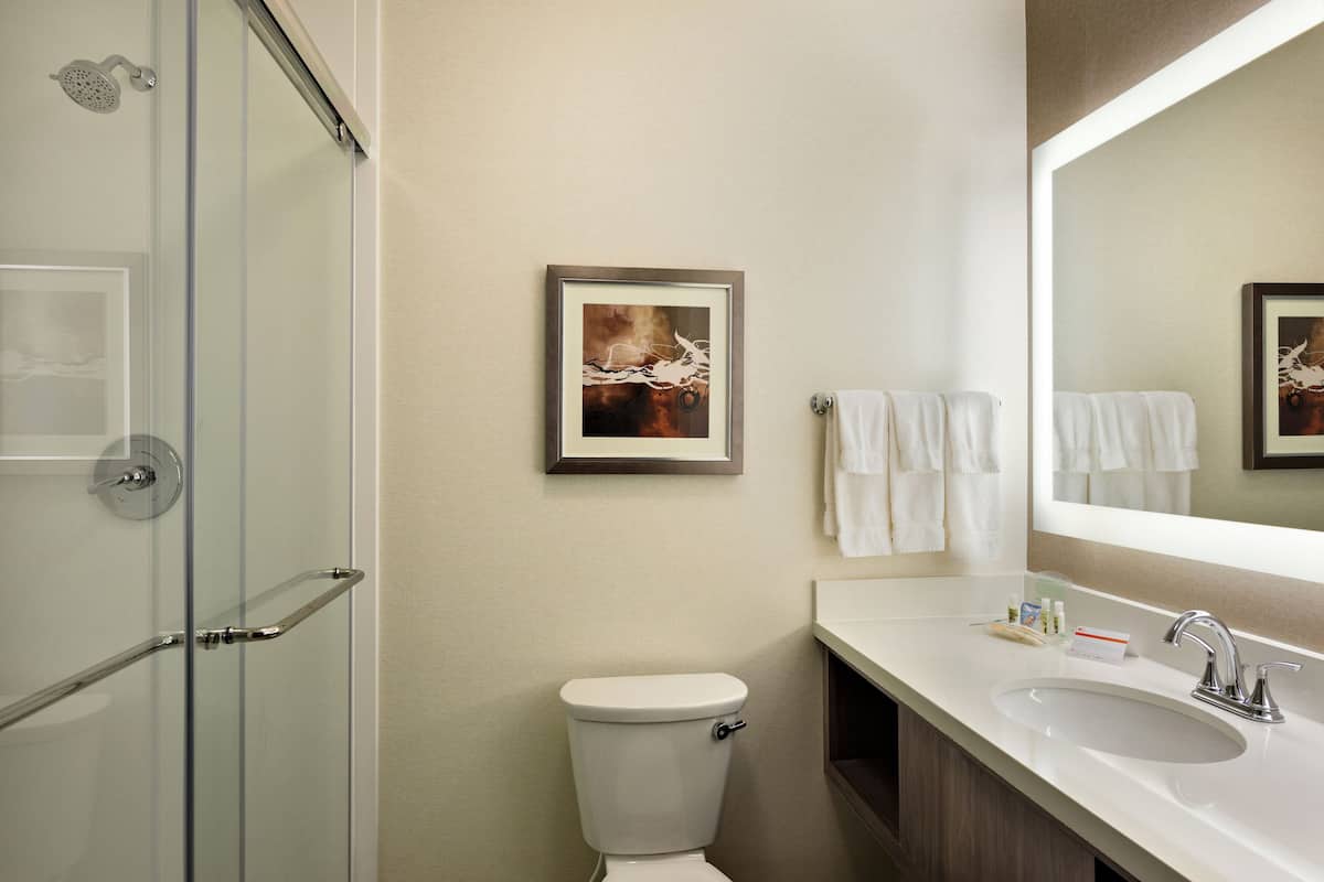 A bathroom with a glass shower enclosure, a toilet, a sink, and a framed artwork on the wall.