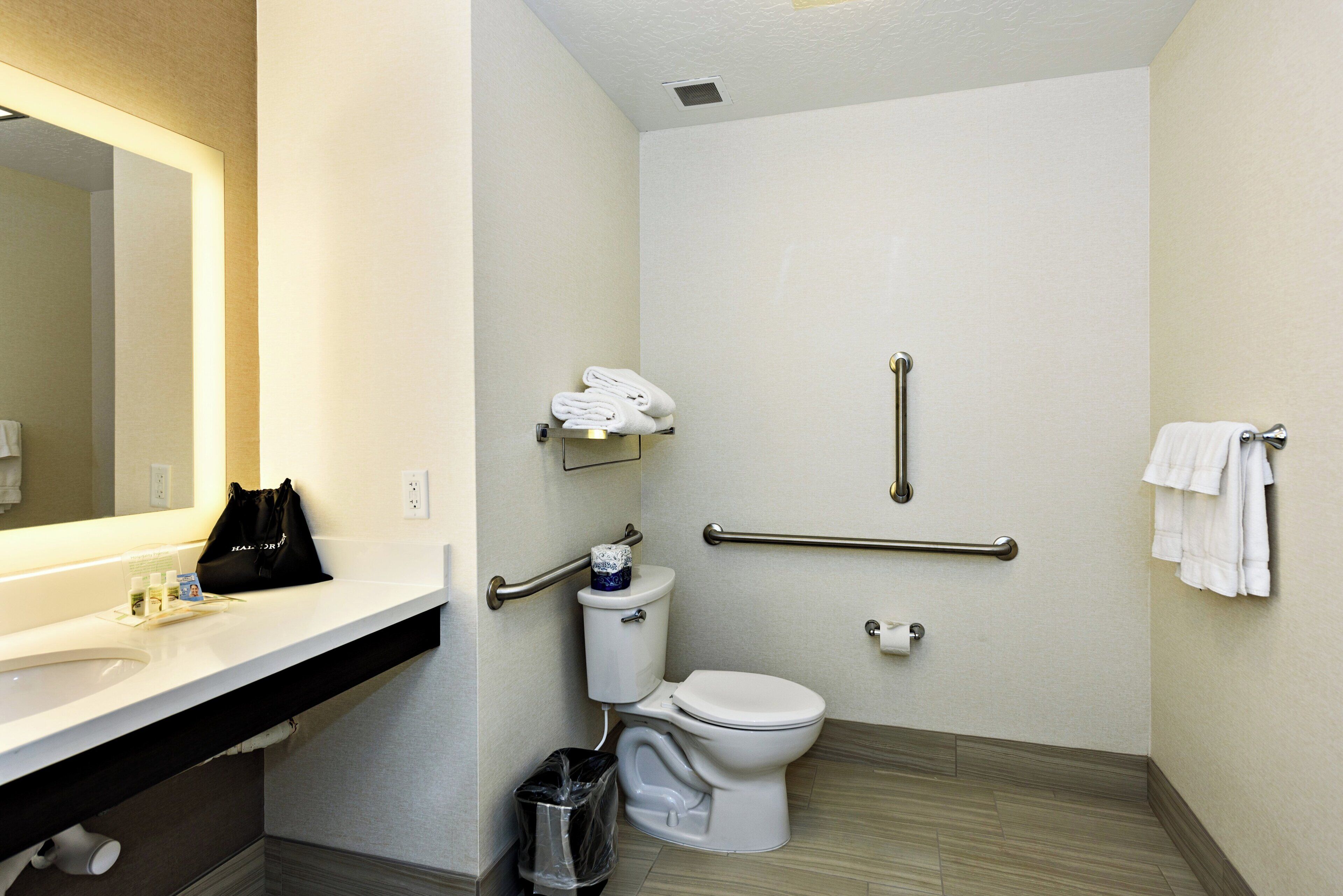 Une salle de bain équipée de toilettes, d’une barre d’appui, d’un porte-serviettes et d’un miroir.