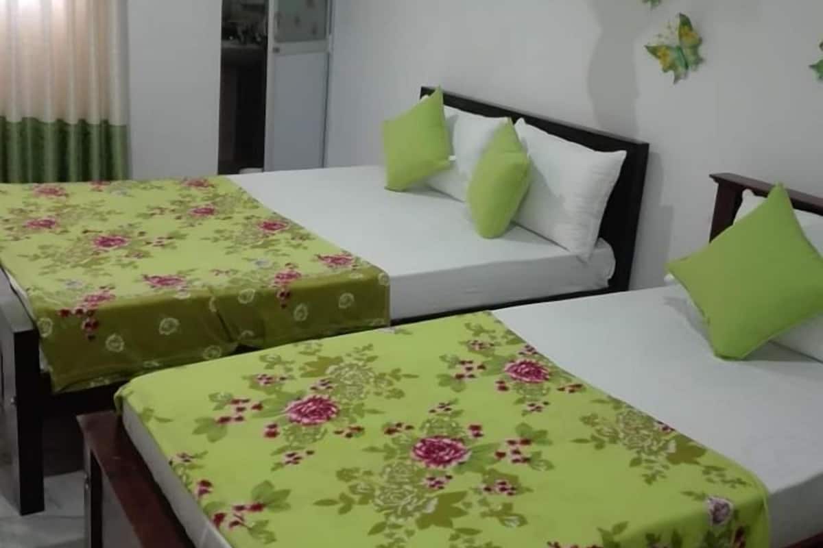 A hotel room with two single beds, each with a floral bedspread and green pillows. There is a mosquito net above the beds, and butterfly wall art is visible.