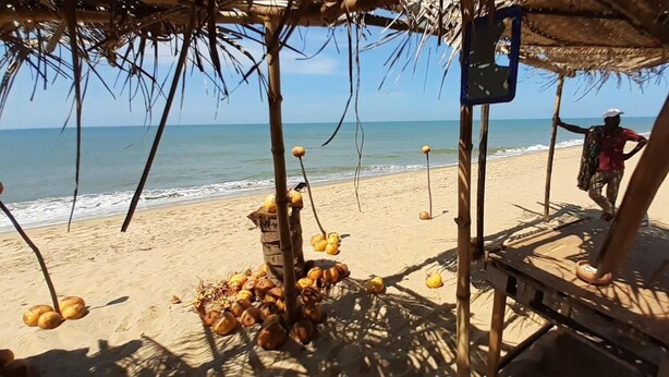 Een strandscène met een kraam van een kokosverkoper, een rieten dak en een helder uitzicht op de oceaan.