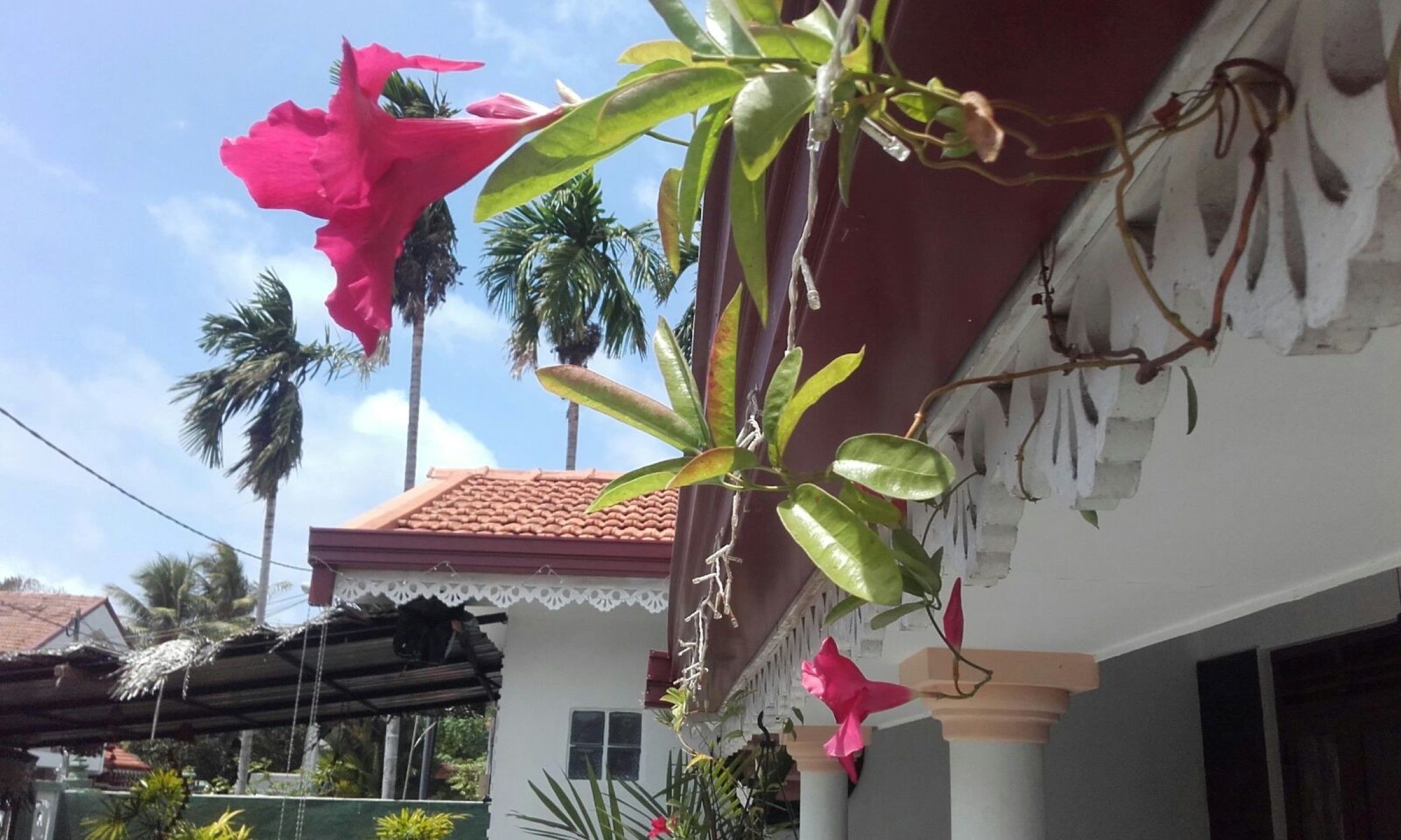 Photo - Alexandra Family Villa