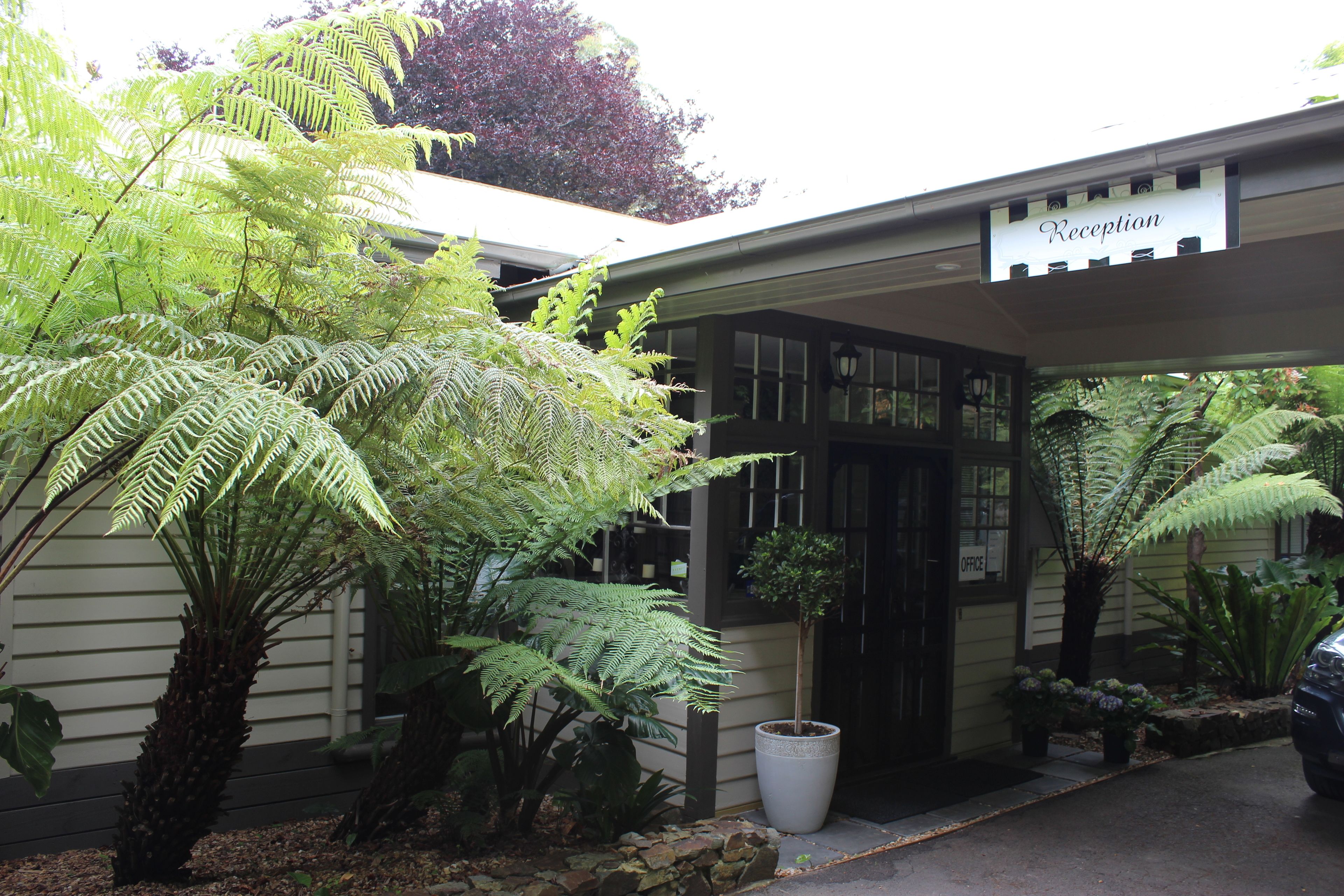 A reception area with a sign, a potted plant, and a car parked outside.