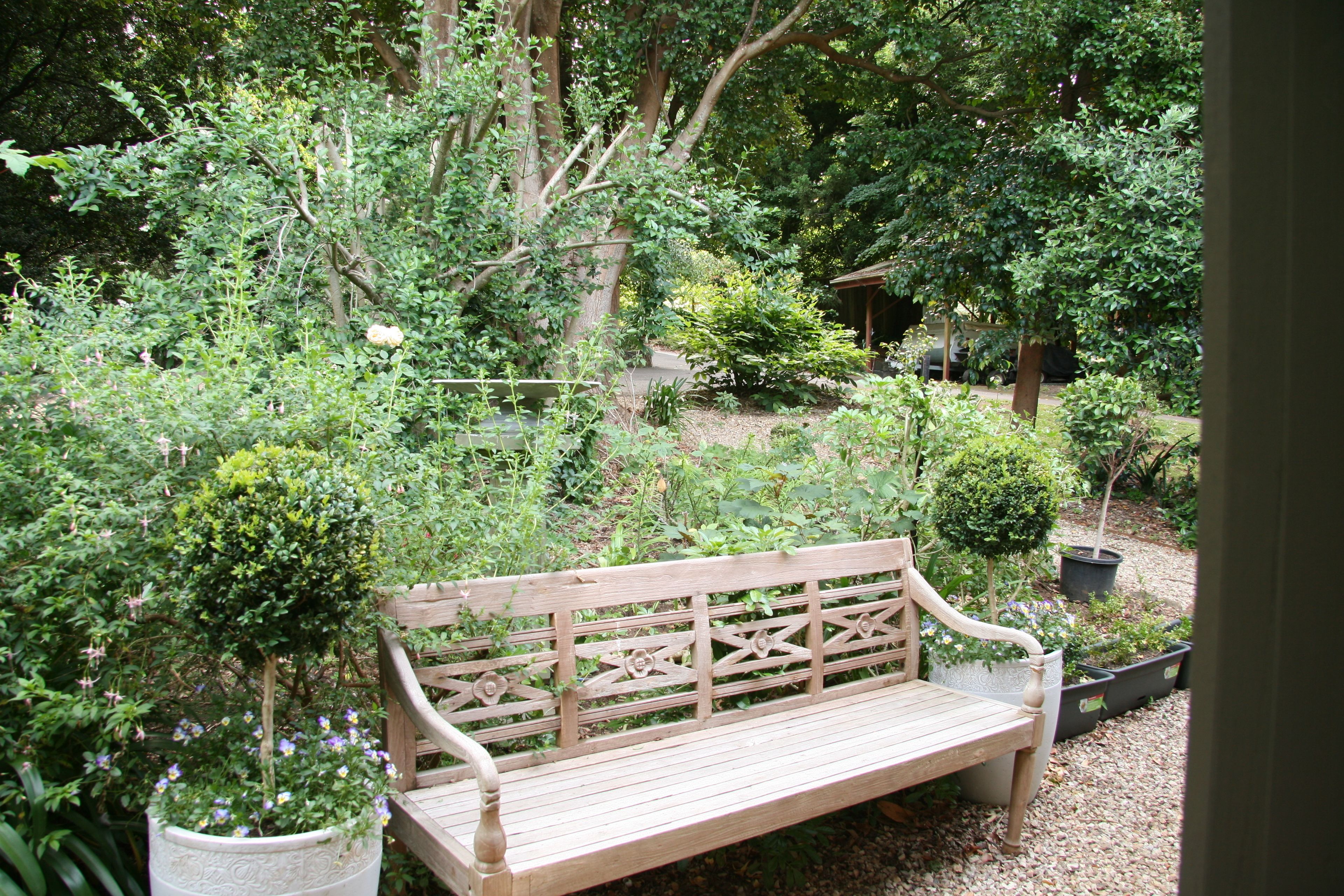 A wooden bench in a garden with various plants and trees.