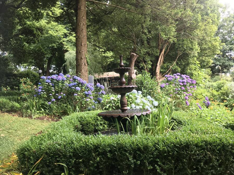 A garden with a central fountain surrounded by lush greenery and purple flowers.