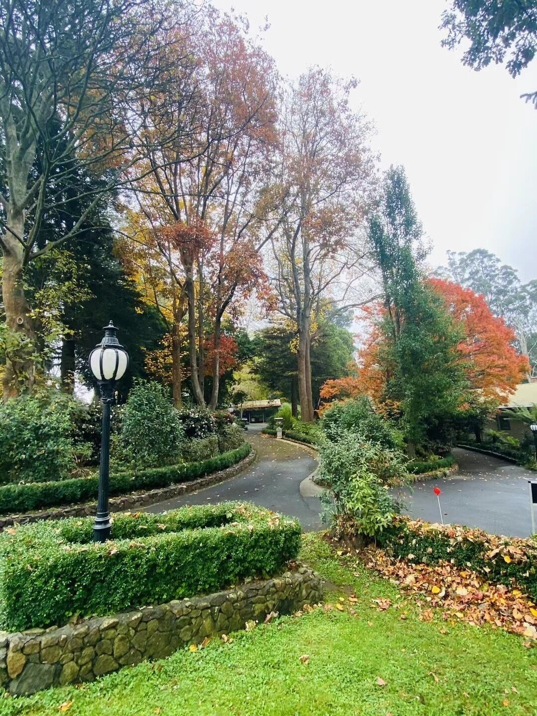Um jardim com paisagismo, com um caminho sinuoso, um muro de pedra e um poste de luz.