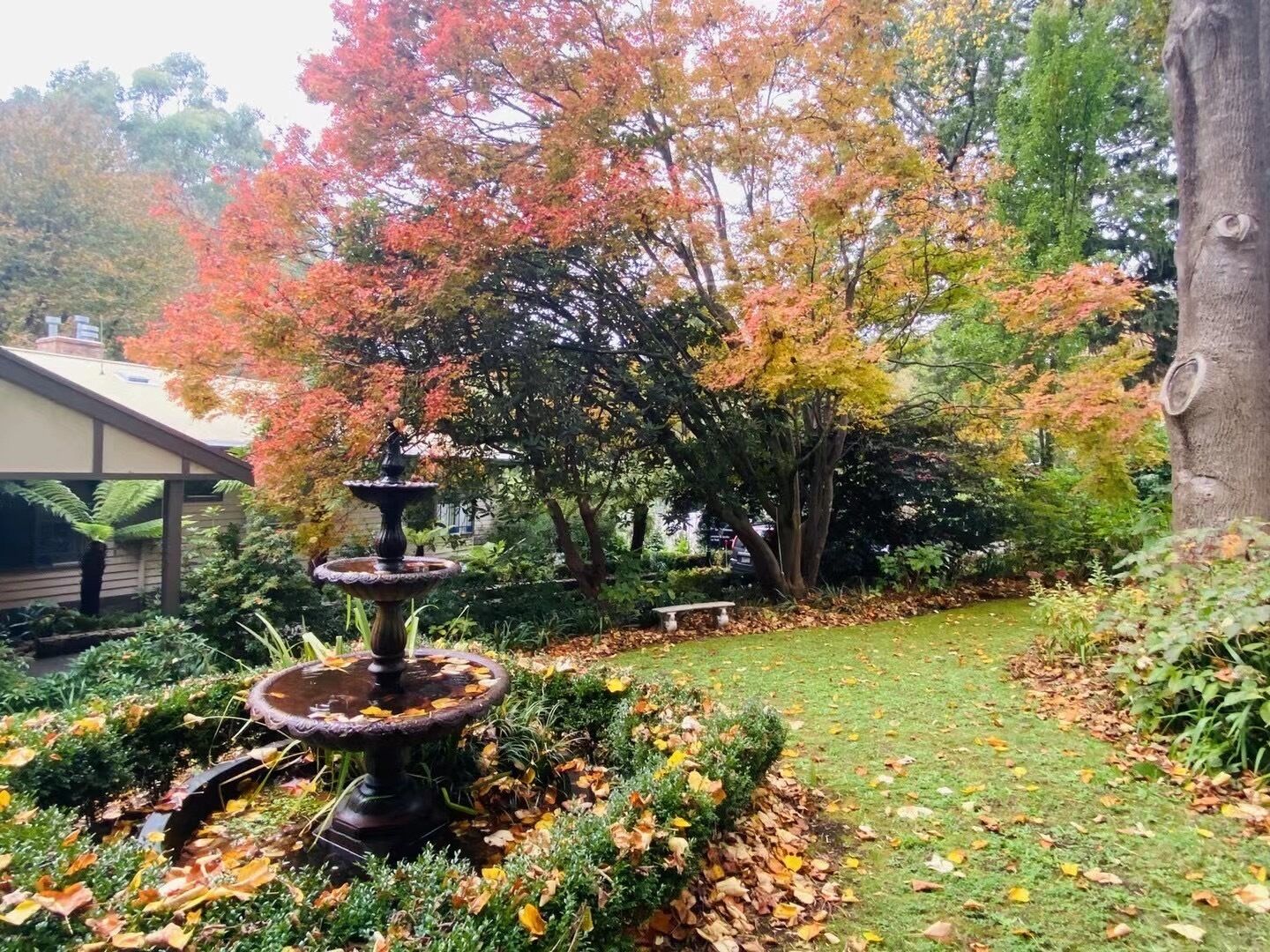 Un jardin agrémenté d’une fontaine à plusieurs niveaux, d’un banc et de divers arbres aux feuillages d’automne.