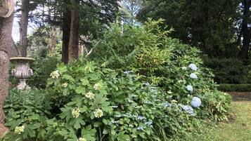 Un jardín con diversas plantas y una urna decorativa.