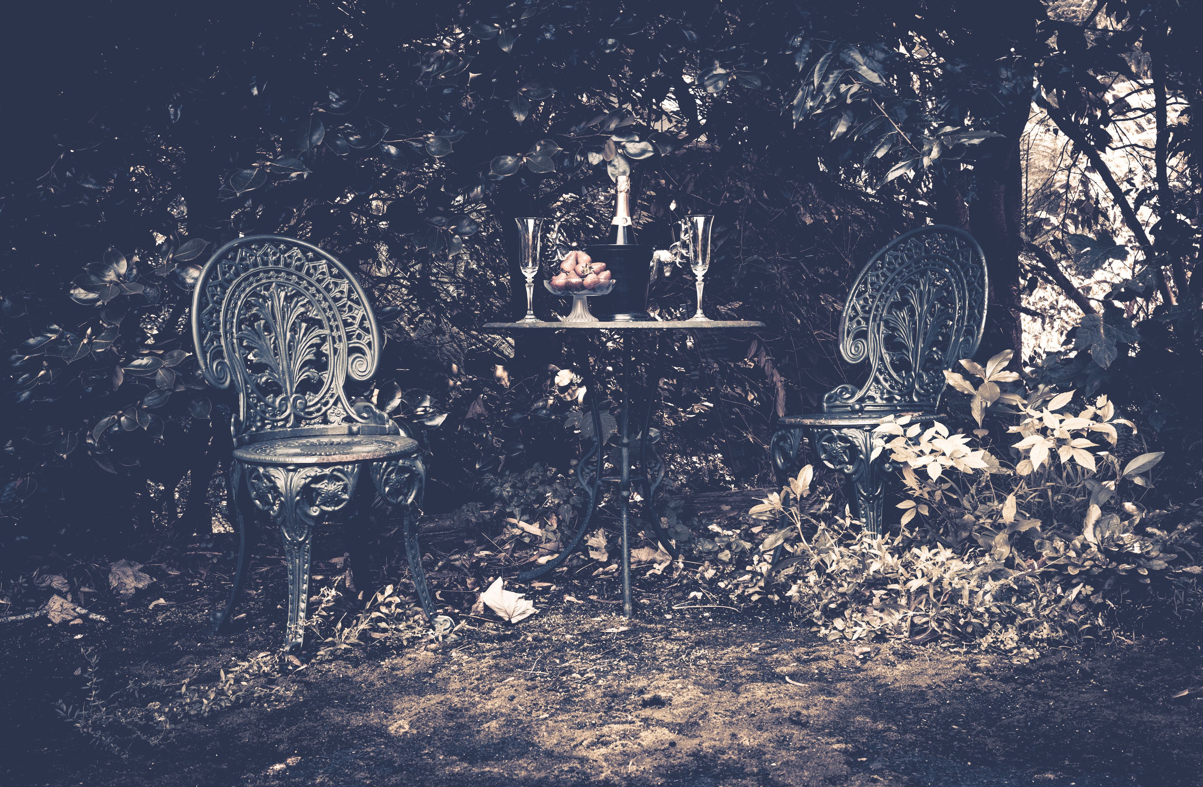 An outdoor garden setting with two ornate metal chairs and a table, surrounded by foliage.