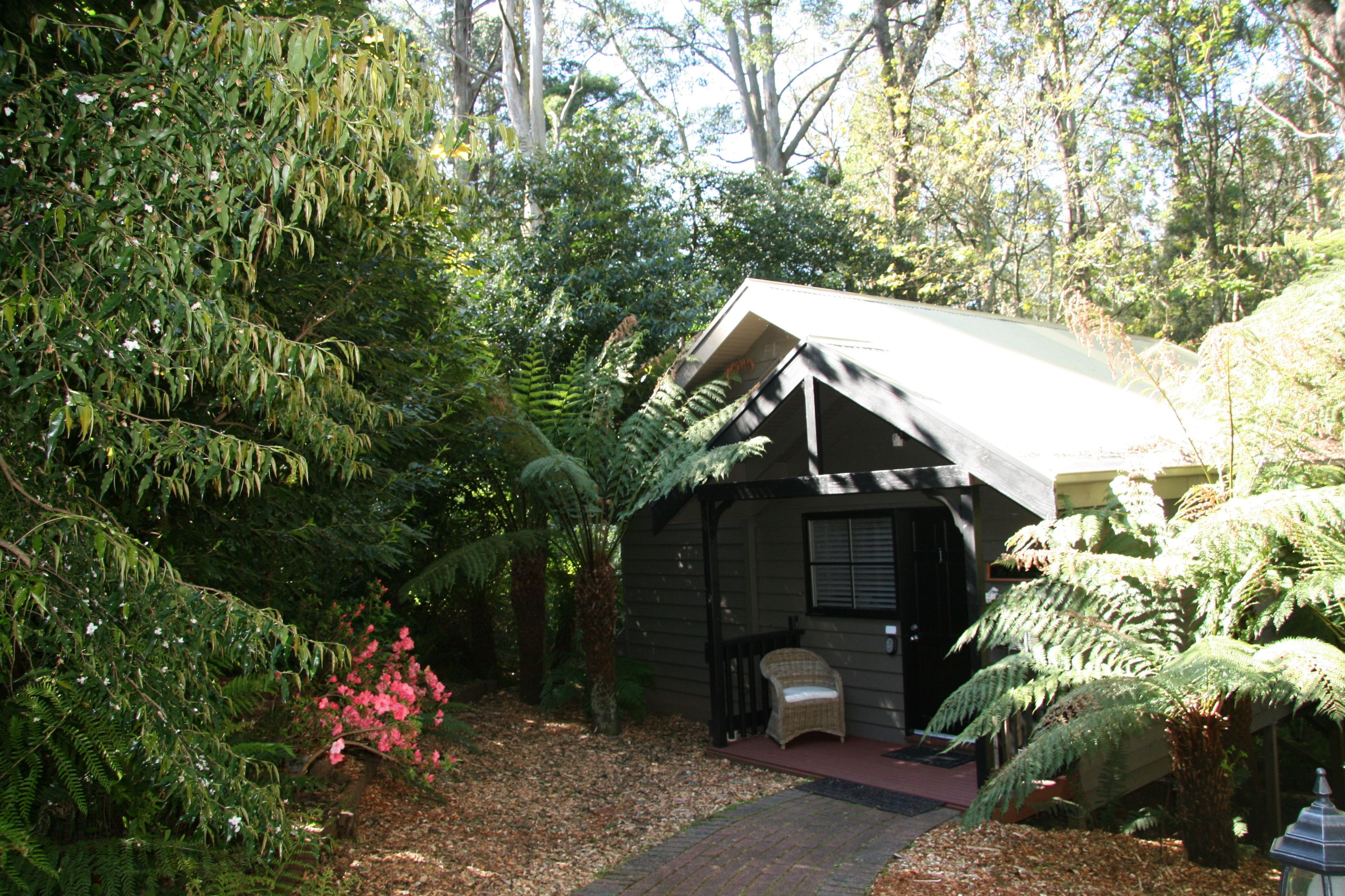 A rustic cabin surrounded by dense foliage, with a small porch and a single chair.