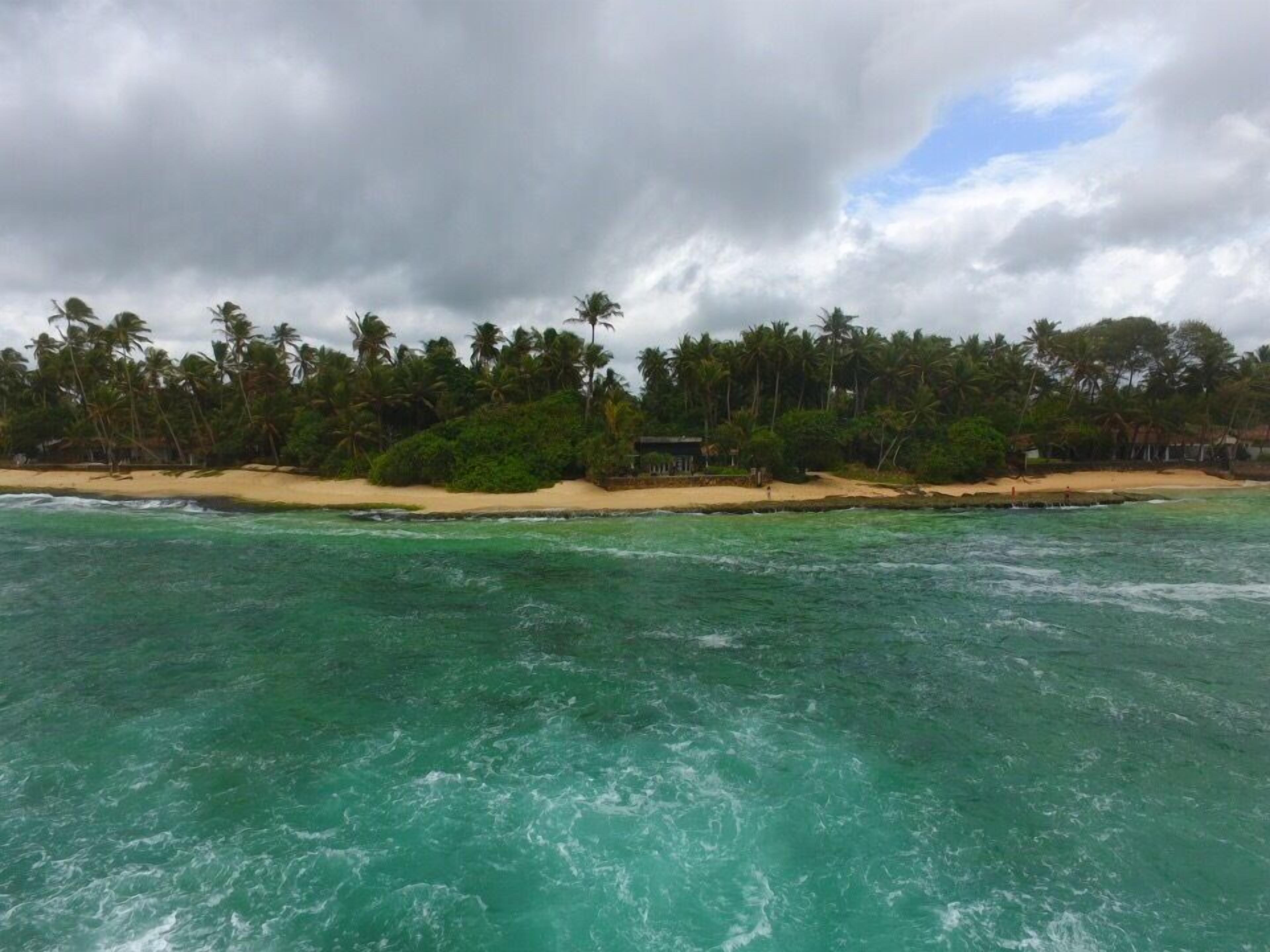 A beach with turquoise water, palm trees, and a cloudy sky.