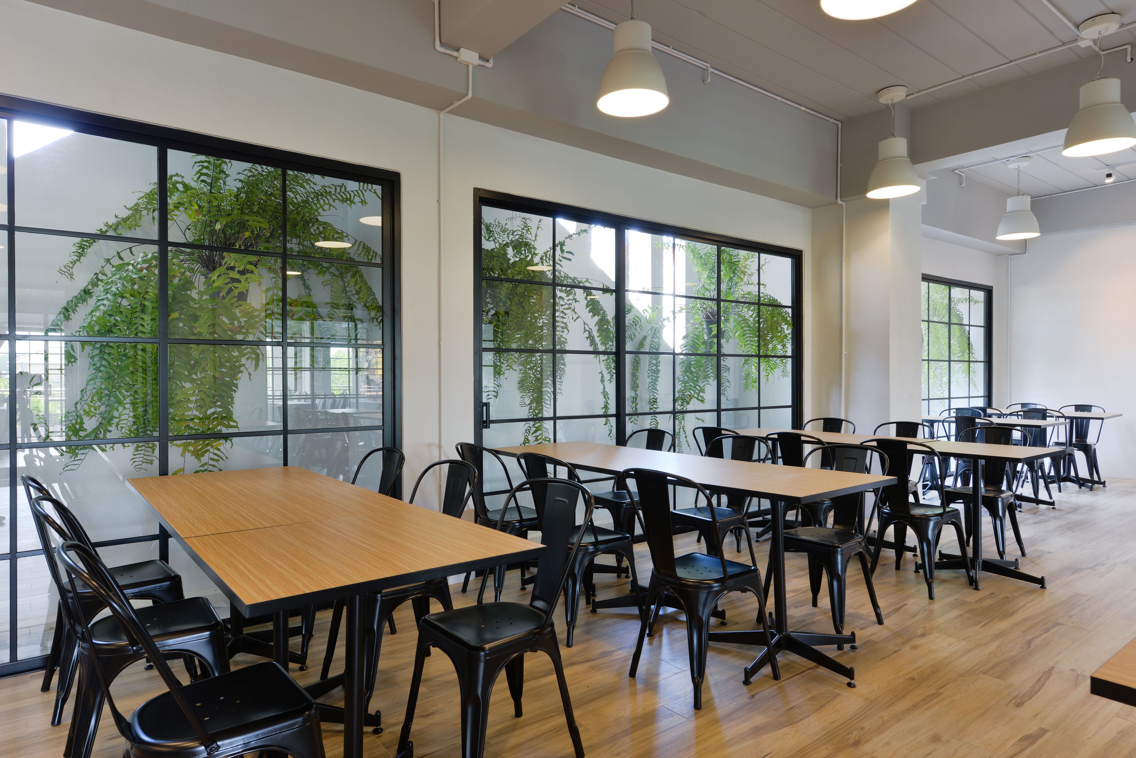 Une salle de conférence dotée de plusieurs tables et de chaises, de grandes fenêtres ornées de plantes et d’un éclairage moderne.