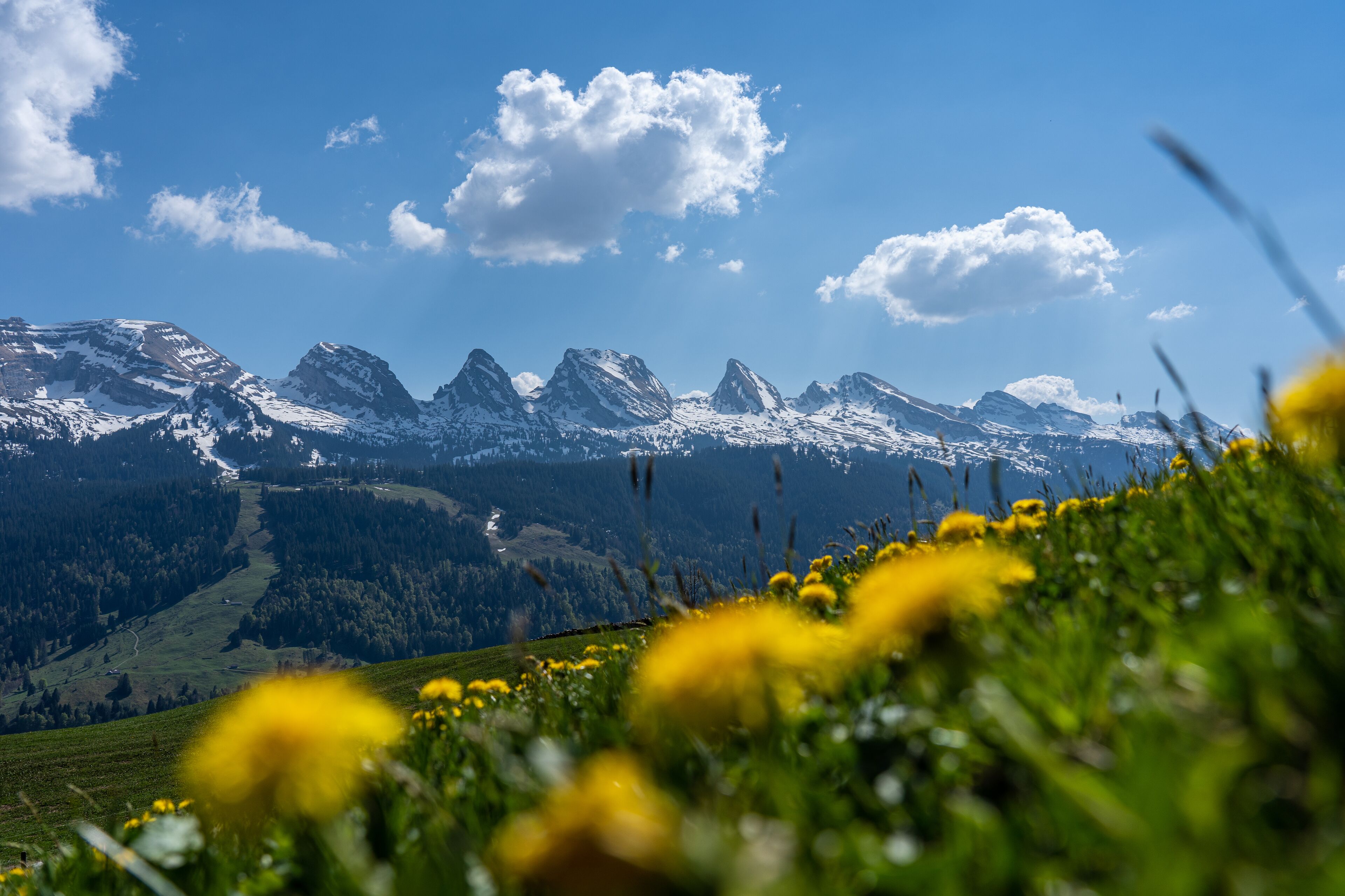 land view from property