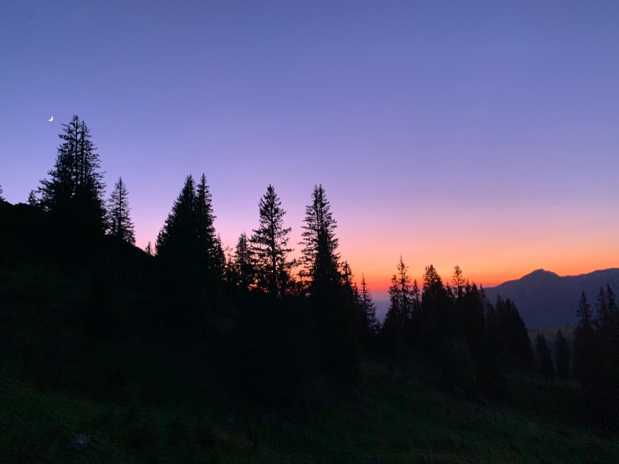 land view from property