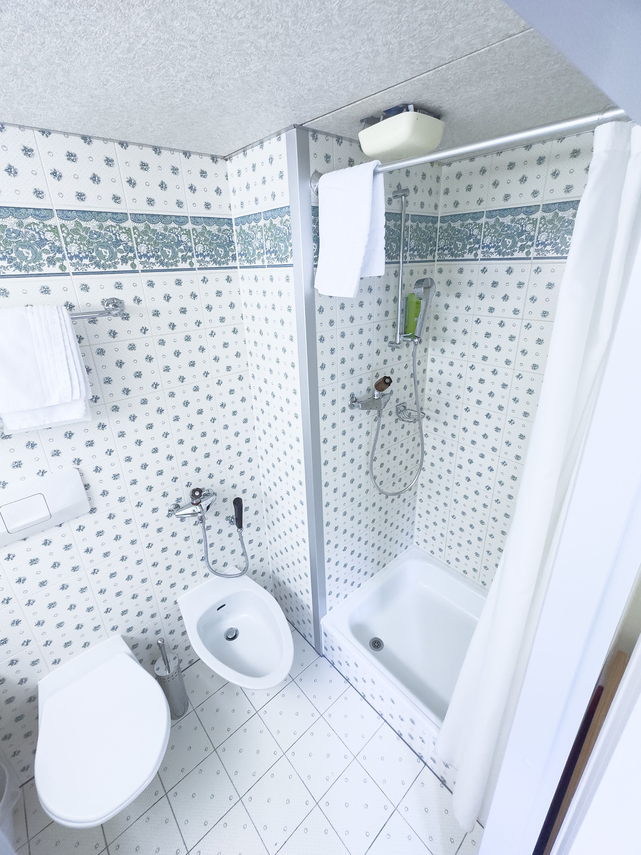 Un baño con inodoro, bidé y ducha.