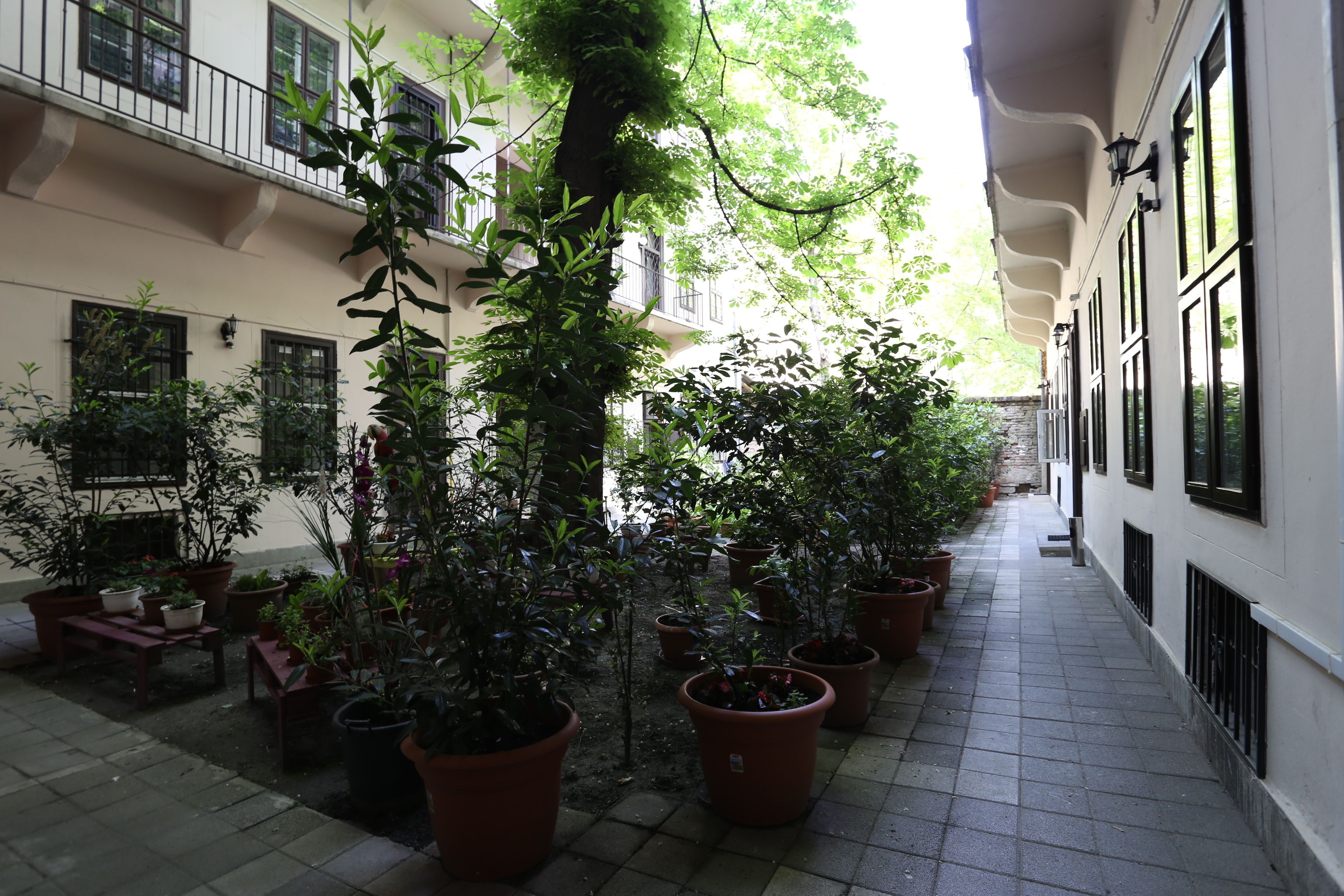 Foto - Amber Gardenview Studios Downtown