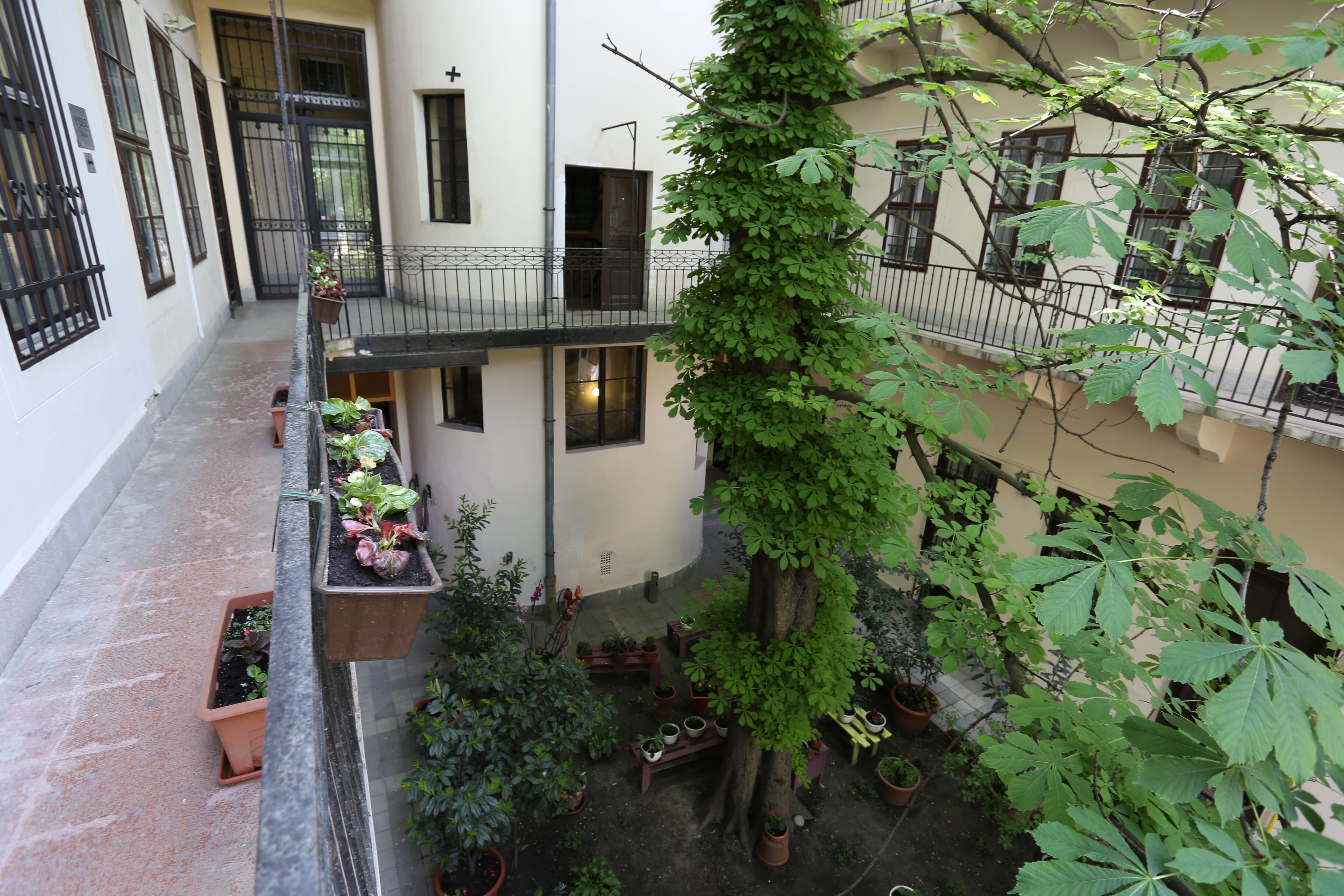 Foto - Amber Gardenview Studios Downtown