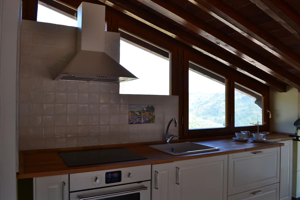 Panoramic-Loft | Eigene Küche | Wasserkocher mit Kaffee-/Teezubehör, großer Kühlschrank, Herdplatte